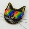 Przypinka tęczowa pride z kotem pin 001
