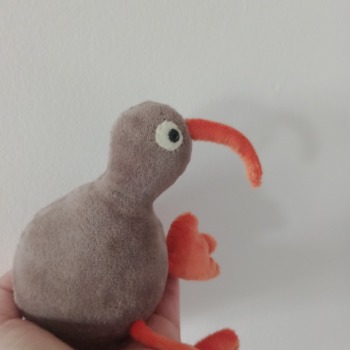Ptaszek kiwi dla kota