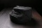 Raven Black Fossil